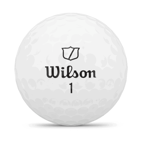 WG2009001_3_Triad_2024_Ballstamp.png WG2009001_3_Triad_2024_Ballstamp.png