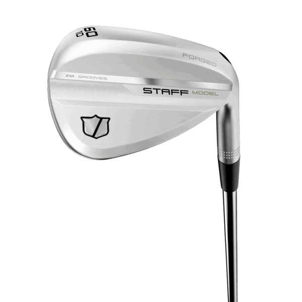 WG1P0342L60_0_Staff_Model_ZM_Wedge_6010_Hero.png