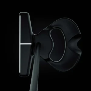 LAB DF 2.1 Putteri - Image 3