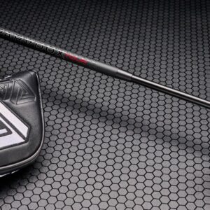 BGT Paradox Putteri